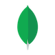 MongoDB विश्वविद्यालय लोगो