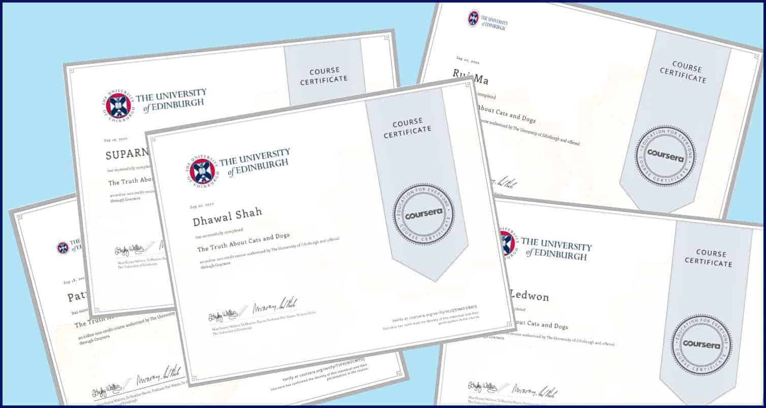 सीकोर्सेरा-बिल्लियाँ और कुत्ते